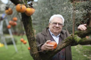 Il mondo del vino italiano e non solo perde un protagonista assoluto: &egrave; morto Giacomo Tachis, l&rsquo;artefice tecnico del &ldquo;Rinascimento&rdquo; enologico tricolore. L&rsquo;Italia enoica deve molto all&rsquo;enologo piemontese che rester&agrave; per sempre nella sua storia