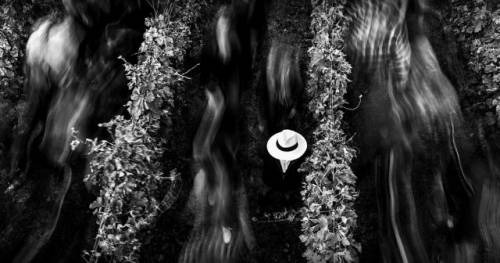 Geniale e visionario, schietto e dritto per la sua strada, il ricordo di Winenews di Gianni Masciarelli, un nostro amico