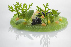 Cenone top, dal “Giardino d’Acqua” di Heinz Beck ai ravioli: con oca e lenticchie per Nadia e Antonio Santini, alla carbonara con ricci di mare e bacche di faggio per Gianfranco Vissani, con lepre e tortellini in brodo di cervo per Luciano Zazzeri