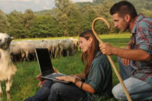 PUNTARE SU AGRICOLTURA PER OCCUPAZIONE, SOPRATTUTTO TRA I GIOVANI … IL PRESIDENTE CIA GIUSEPPE POLITI: “LE PROSSIME ELEZIONI DEVONO GARANTIRE UN GOVERNO AUTOREVOLE IN GRADO DI SVILUPPARE POLITICHE INCISIVE A SOSTEGNO DEL SETTORE PRIMARIO”