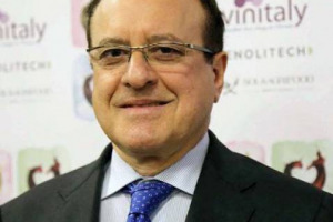 Vinitaly: &ldquo;we promote Italian wine in the world&rdquo;