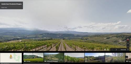 Vigneti di Brunello a Montalcino