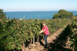 Biologa, chimica, enologa di un vino-mito, il Sassicaia: a Graziana Grassini e alla sua carriera costellata di successi il &ldquo;Premio Dino Casini - Una vita per l&rsquo;Associazione Italiana Sommelier Toscana&rdquo;, stasera, a &ldquo;Food & Wine in Progress&rdquo;, a Firenze