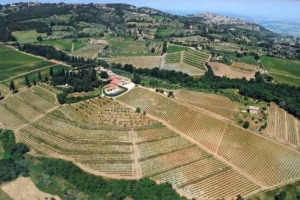 Rumors - Vino, storia di grandi famiglie. E ora il futuro di una delle pi&ugrave; importanti realt&agrave; italiane, Tenuta Greppo di Biondi Santi, culla del Brunello di Montalcino, potrebbe, a giorni, intrecciarsi con quello di un importante investitore francese