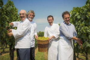 PER SAPERE COME SAR&Agrave; IL VINO BISOGNER&Agrave; ASPETTARE, COME SEMPRE, ALMENO 2 ANNI DALLA RACCOLTA DELLE UVE. MA, NONOSTANTE IL CALDO, SEMBRA CHE IN FRANCIACORTA, TRA I PRIMISSIMI TERRITORI AD AVER DATO VIA ALLA VENDEMMIA, LE PREMESSE SIANO OTTIME