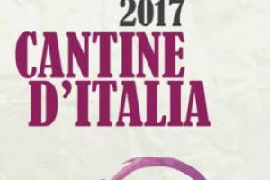 Badia a Coltibuono, Capezzana, Castello di Modanella, Vicchiomaggio, Donnafugata, Florio, Planeta, Castello di Verduno, Fontanafredda, Malvir&agrave;, Bellavista, C&agrave; del Bosco, Bisol, La Montecchia, Ferrari, Lungarotti e Masciarelli: il top per &ldquo;Go Wine&rdquo;