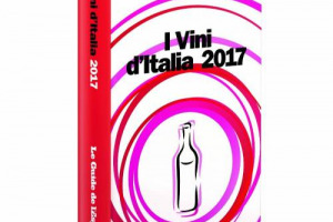 Vino & guide, ecco le anticipazioni de&ldquo;I Vini d&rsquo;Italia 2017&rdquo; de &ldquo;L&rsquo;Espresso&rdquo;, con il meglio delle tre nuove &ldquo;Top 100&rdquo; (vini &ldquo;da conservare&rdquo;, &ldquo;da comprare&rdquo;, &ldquo;da bere subito&rdquo;), anima della prima edizione curata da Antonio Paolini e Andrea Grignaffini