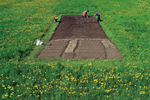 DALLA CANTINA VENETA MASI UNA RAFFINATA MONOGRAFIA - CON LE IMMAGINI DEL GRANDE FOTOGRAFO FULVIO ROITER - CHE COMBINA VINO, ARTE ED EMOZIONI