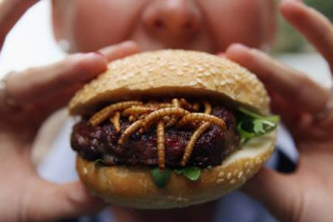 Insetti a tavola, facciamo chiarezza: secondo il Regolamento Ue sui “novel food”, la vendita come alimento di un insetto ha bisogno di un’autorizzazione, e ad ora, in Italia, non è stata ammessa alcuna commercializzazione di insetti