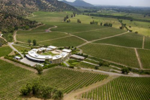 Antinori investe in Cile: da rumors di WineNews, la storica realt&agrave; toscana, ha acquisito la totale propriet&agrave; della cantina Haras de Pirque, gioiello dell&rsquo;enologia cilena, che guidava in partnership con la famiglia Matte dal 2003