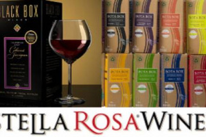 Due &ldquo;bag-in-box&rdquo; i marchi enoici pi&ugrave; venduti in Usa, Black Box di Constellation Brands e Bota Box della Delicato Family Vineyards. Cos&igrave; l&rsquo;&ldquo;Hot Brands&rdquo; Report del gruppo Shanken. Primo brand straniero, &ldquo;l&rsquo;italiano&rdquo; Stella Rosa della famiglia Riboli