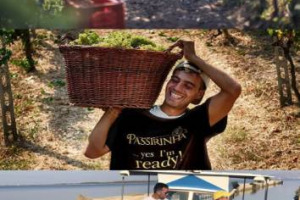 Scarsa in quantit&agrave; ed incerta in qualit&agrave;, la vendemmia 2017 entra nel vivo, dal Nord al Sud. E se c&rsquo;&egrave; chi, in una annata generalmente anticipata, sceglie di aspettare, come Bellavista in Franciacorta, Coldiretti brinda al +6,3% (stimato) dell&rsquo;export