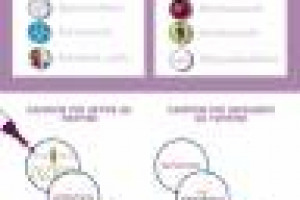 La forza di un&rsquo;etichetta, di un territorio del vino, o l&rsquo;influenza di un magazine, passa anche per i social: l&rsquo;analisi Maxfone sugli hashtag #Vinitaly e #Vinitaly2017 su Twitter ed Instagram incoronano Ferrari, il Chianti Classico e... WineNews