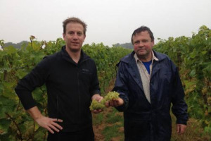 Dopo secoli vissuti da protagonista del successo commerciale dei pi&ugrave; grandi vini del Vecchio Continente, oggi l&rsquo;Inghilterra scopre di avere un enorme potenziale produttivo, e l&rsquo;industria enoica del Paese si gode cos&igrave; un&rsquo;altra vendemmia da record