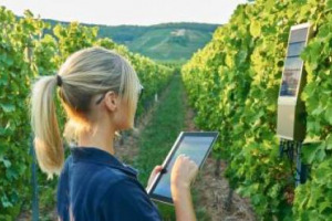 L&rsquo;&ldquo;internet delle cose&rdquo; in vigna: ecco il sistema TracoVino, ideato dalla tedesca MyOmega su tecnologia Intel, che fornisce in tempo reale ogni tipo di informazione sul vigneto. Applicato per la prima volta nella Mosella, dalla storica famiglia Haart