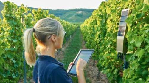 L’informatica è sempre più presente anche tra i vigneti del mondo