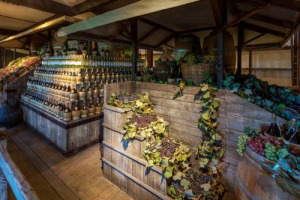 A Castagneto Carducci, terra del Bolgheri, la prima World Wine Town italiana: il progetto voluto da Franco Malenotti, Gaddo Della Gherardesca e Dante Ferretti, che con &ldquo;Musem&rdquo;, il Museo Multimediale e Sensoriale del Vino, racconta la storia di Bacco