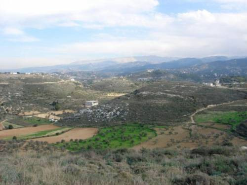 Una veduta dell’azienda libanese