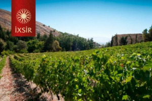 UN VINO PER RINASCERE: IN LIBANO, A POCHI CHILOMETRI DAL CONFINE CALDISSIMO CON LA SIRIA, IL PRESIDENTE BRASILIANO-LIBANESE DELLA RENAULT-NISSAN PUNTA SUL VINO: &ldquo;QUI SI FA DAL TEMPO DEI FENICI ED IO CREDO NELLA FORZA DEL POPOLO LIBANESE&rdquo;