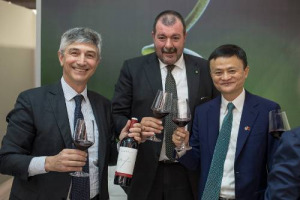Nuovi record per la realt&agrave; leader della cooperazione vitivinicola trentina Mezzacorona: 54 milioni liquidati ai 1.600 soci e una resa media di 17.200 euro. E il gruppo inaugura anche il primo Bilancio di Sostenibilit&agrave; Sociale del settore in Italia