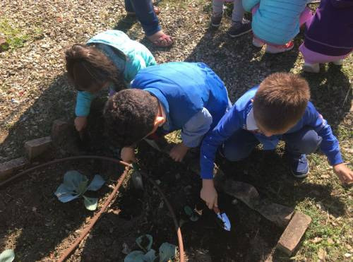 Laboratorio Winenews in Montalcino: al via con l’anno scolastico 2017 e 2018