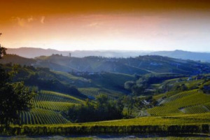 Arriva il primo &ldquo;Unescoraduno&rdquo; dei vini, e dove se non tra le Langhe e il Monferrato, primo terroir dell&rsquo;Italia del vino &ldquo;fresco&rdquo; di riconoscimento Unesco. A &ldquo;Vite Spericolata&rdquo; (Calamandrana, 11-13 luglio) con i vini delle Terre Unesco del Belpaese