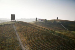 Novecento ragazzi di tutto il mondo raccontano con scatti ed immagini sei mesi di Expo 2015 Milano, tra i vigneti delle Langhe: sono i protagonisti del progetto &ldquo;Anch&rsquo;io Vivaio Scuola&rdquo; della griffe Michele Chiarlo al Parco Artistico Orme su La Court