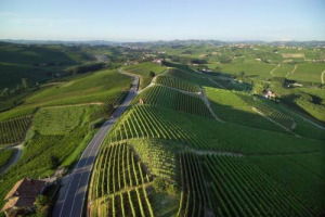 Tra vendita diretta e fidelizzazione del consumatore, l&rsquo;enoturismo &egrave; probabilmente il modello di business pi&ugrave; adatto per le piccole cantine: gli atout dello studio della Business School ESCP Europe sulla &ldquo;case history&rdquo; di Langhe e Roero