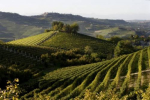 DOPO QUELLE DEL PROSECCO, LE COLLINE DELLE LANGHE, ROERO E MONFERRATTO INIZIANO IL CAMMINO PER DIVENTARE PATRIMONIO DELL&rsquo;UMANITA&rsquo; DELL&rsquo;UNESCO: OGGI AD ASTI E&rsquo; NATA &ldquo;PROGETTO UNESCO&rdquo;, L&rsquo;ASSOCIAZIONE CHE GUIDERA&rsquo; IL TERRITORIO VERSO IL RICONOSCIMENTO