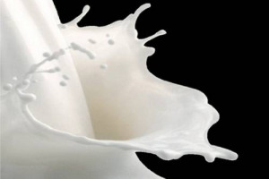 La Fao lancia il World Milk Day: oggi si celebra l’importanza dell’“oro bianco” nella dieta, soprattutto per migliorare la nutrizione dei milioni di poveri nel mondo, ma anche per le economie rurali. Assolatte: in Italia i consumi ancora in calo