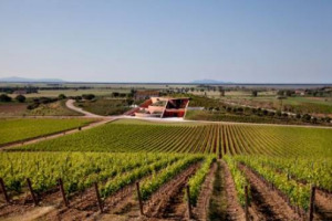 L&rsquo;ANTINORI A &ldquo;KM 0&rdquo;, UNA FULL IMMERSION NELLA MAREMMA AGRICOLA AUTENTICA. ECCO LA CANTINA-FATTORIA LE MORTELLE, DELLA GRIFFE MONDIALE ANTINORI A CASTIGLIONE DELLA PESCAIA, CHE APRE AL PUBBLICO UN PROGETTO DI TERRITORIO DOVE IL VINO &Egrave; PROTAGONISTA