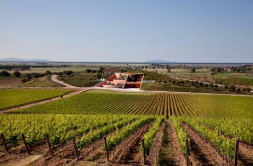 La fattoria Le Mortelli di Antinori in Maremma