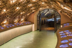 A poche centinaia di metri dal Louvre, nel cuore di Parigi, si estendono i cunicoli delle cantine a volta appartenute, nel XVIII secolo, a Luigi XV, dove oggi nasce un museo del vino, &ldquo;Les Caves du Louvre&rdquo;, tra tecnologia e scoperte esperienziali