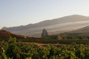 “E!state Liberi!”, aperte le iscrizioni ai campi d’impegno e formazione sui beni confiscati al crimine organizzato promossi da Libera. Dalla Sicilia, alla Puglia fino in Lombardia, un’estate diversa di impegno civile, per confrontarsi con la legalità