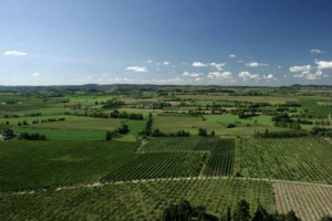 Punto di riferimento della produzione bianchista veneta, il Lugana &egrave; sempre pi&ugrave; al centro dell&rsquo;attenzione delle griffe dell&rsquo;Amarone. Anche grazie ai suoi numeri: nel 2016 la produzione a 15 milioni di bottiglie per 66 milioni di euro di fatturato