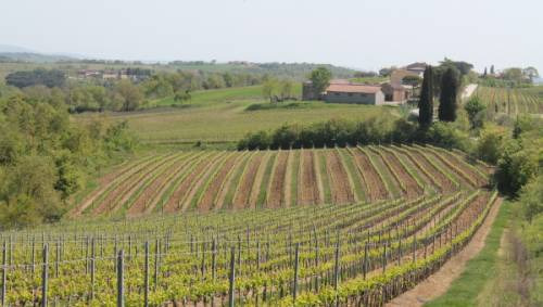La cantina Lunadoro a Montepulciano comprata da Schenk Italia