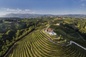 10 anni di tempo per convertire 40 vigneti di propriet&agrave; a variet&agrave; resistenti: &egrave; la svolta ambiziosa di Maculan, tra le prime in Italia a percorrere con convinzione questa via per ridurre drasticamente l&rsquo;impatto ambientale della sua produzione