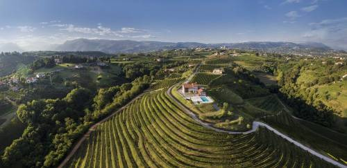 Maculan vuole riconvertire in 10 anni tutti i suoi vigneti con varietà di vite resistenti selezionate con l’Università di Udine