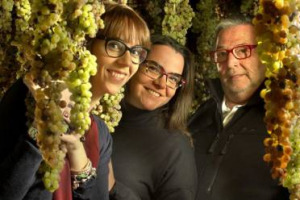 La Banca degli occhi compie 30 anni e il vino la festeggia aiutando la ricerca: si chiama Santalucia la limited edition con etichetta d&rsquo;autore voluta da Maculan per la Onlus veneta raccontata alla vigilia del giorno della Santa, con chef Max Alajmo