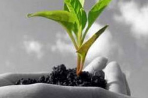 Grande fiducia tra le imprese agricole italiane, che prevedono investimenti in crescita nei prossimi tre anni: è il sentiment che emerge dalla ricerca di Fieragricola (3-6 febbraio, Veronafiere). Dove si parlerà anche di ricerca, ambiente e di Africa