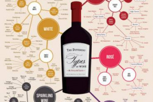 ORDINARE IL PANORAMA VINICOLO MONDIALE, CON LE SUE INNUMEREVOLI DECLINAZIONI, IN UNA MAPPA CONCETTUALE? MISSIONE DIFFICILE, MA NON IMPOSSIBILE: L&rsquo;HA PENSATA E CREATA IL SITO &ldquo;WINE FOLLY&rdquo;, CHE METTE INSIEME 214 TIPOLOGIE DI VINO DIFFERENTI