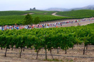 Enoturismo &ldquo;alternativo&rdquo;: tra Usa e Canada c&rsquo;&egrave; la &ldquo;Wine Country Half Marathon Series&rdquo;, serie di gare podistiche &ldquo;boutique-style&rdquo;, che attraversano i pi&ugrave; celebri territori del vino, dalla California alla Virgina, dall&rsquo;Oregon alla British Columbia