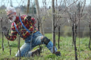A Marco Simonit, il &ldquo;potatore rock&rdquo; che ha portato nel mondo il saper fare del Friuli Venezia Giulia, e d&rsquo;Italia, dando nuova autorevole professionalit&agrave; ad un mestiere umile, il &ldquo;Premio Giacomo Casanova 2016&rdquo; (Castello di Spessa, Capriva del Friuli)