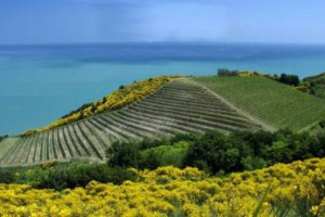 “LA TERRA VISTA DA VICINO. SGUARDI, IMMAGINI E COLORI DEL MONDO AGRICOLO”: ECCO IL CONCORSO DI DISEGNO, PITTURA, FUMETTO E FOTOGRAFIA DI INEA (ISTITUTO NAZIONALE DI ECONOMIA AGRARIA) PER I RAGAZZI DELLE MEDIE INFERIORI