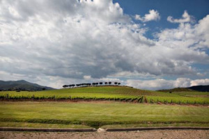 Morellino di Scansano, Montecucco e Maremma Toscana: le tre denominazioni della Toscana del Sud uniscono le forze per ritagliarsi un ruolo da protagonista sui mercati esteri