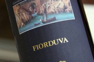 Nella classifica dei 75 vini pi&ugrave; entusiasmanti del 2017 stilata da Decanter, sono ben 14 gli italiani presenti da tutto lo Stivale: da Marisa Cuomo col Furore Bianco Fiorduva 2015 (n. 4) a Valpolicella Ripasso Superiore 2014 di Santa Sofia (n. 62)