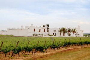 PUGLIA CHIAMA VENETO RISPONDE: TOMMASI VITICOLTORI, NOME STORICO DELLA VALPOLICELLA, SBARCA IN SALENTO, CON MASSERIA SURANI: 80 ETTARI (55 VITATI, 25 DA IMPIANTARE) ED UNA MASSERIA FORTIFICATA, CON OLTRE 2,5 MILIONI DI EURO ANCORA DA INVESTIRE