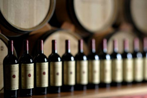 Nella Power 100 del Liv-ex del 2017, la star &egrave; la Borgogna, ma l&rsquo;Italia, guidata dal boom di vendite del Sassicaia, chiude con una quota di mercato, in valore, del 6,3%. Bene il Masseto, il decimo brand pi&ugrave; caro. La new entry &egrave; Casanova di Neri