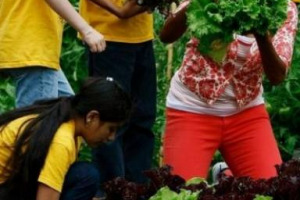 Domani la first lady Usa Michelle Obama, paladina della sana alimentazione oltreoceano, sarà a Milano per Expo. Dove nell’attesa, Richard McCarthy, presidente Slow Food Usa, ha fatto il punto “sulla dura vita della chiocciola nel Paese del fast food”