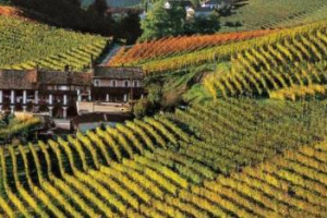 Nelle Langhe di Cesare Pavese, il Monastero &ldquo;del Moscato&rdquo; di Santo Stefano Belbo, abbandonato dalle suore per mancanza di vocazioni, torner&agrave; a produrre vino grazie alla cantina Beppe Marino. Da &ldquo;Cantine Aperte&rdquo; (28-29 maggio)